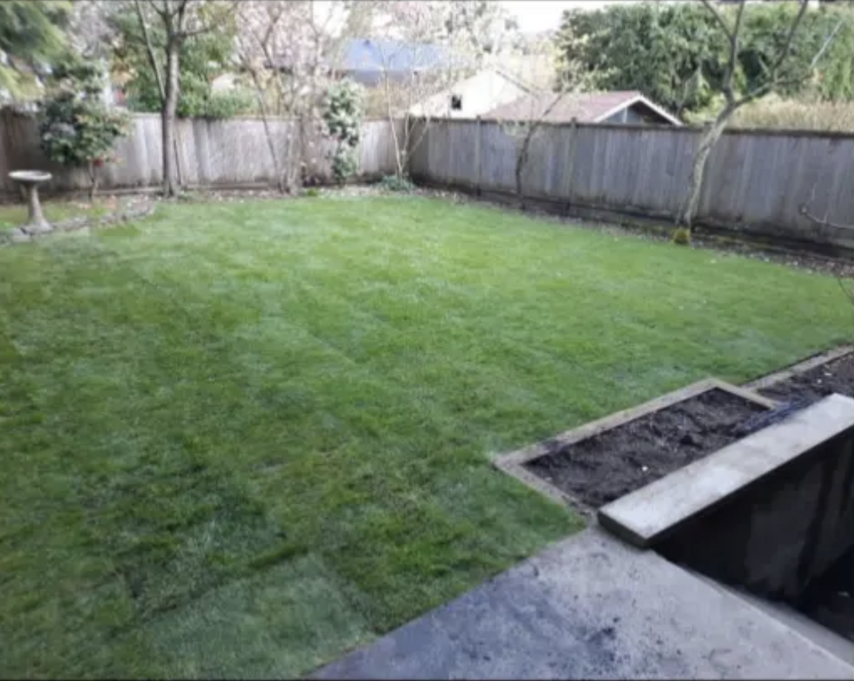 After — New Lawn! · May 2026