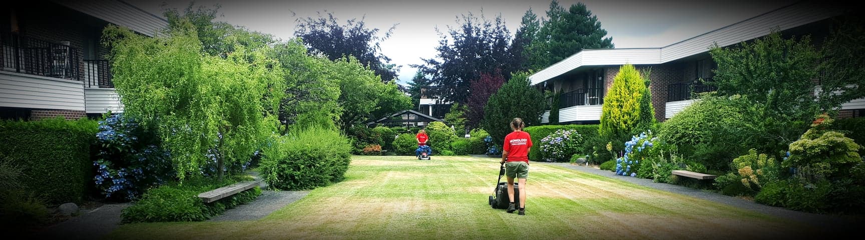 Mowology crew maintaining planted beds and lawn at a Vancouver property