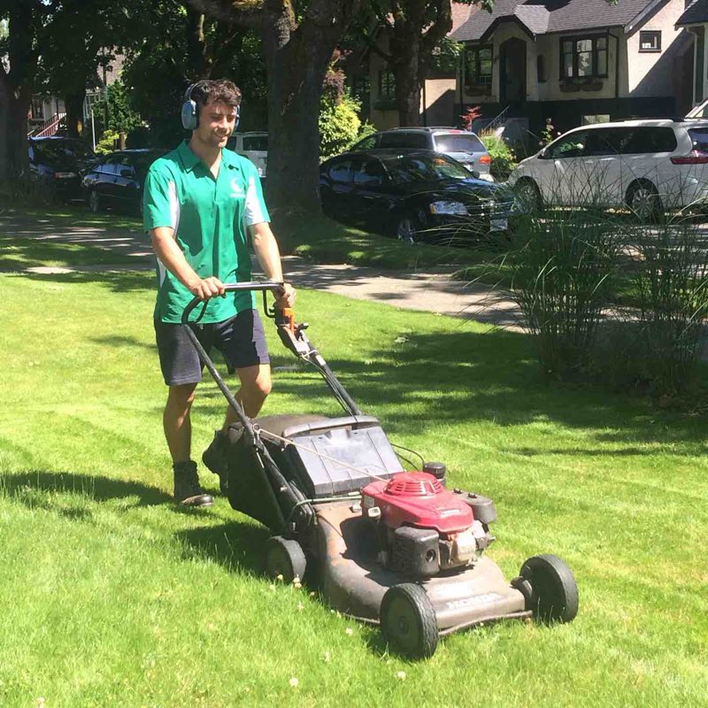 Freshly cut and edged lawn maintained by Mowology in Vancouver