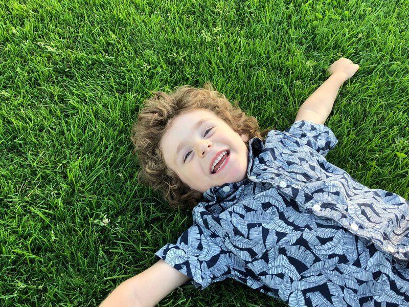 Mowology crew member trimming a tall laurel hedge on a ladder