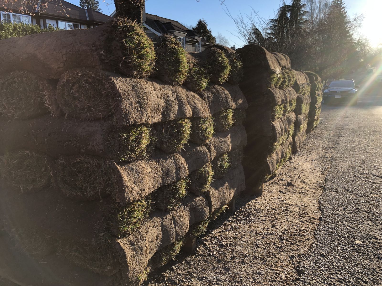 Pallet of fresh-cut sod rolls delivered kerbside for a Vancouver lawn installation
