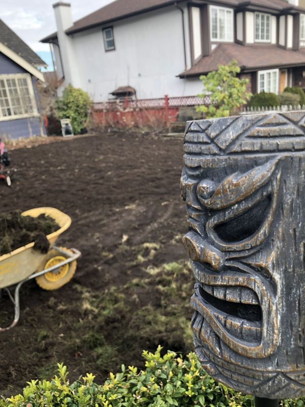 Old lawn stripped and soil graded and prepared before new sod, Vancouver