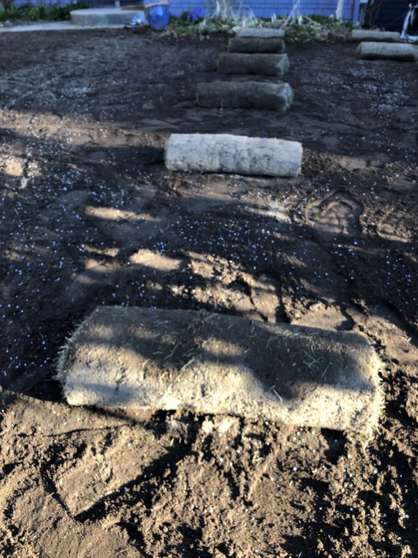 Fresh sod rolls set out across prepared soil ready to lay